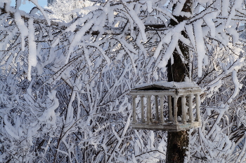 Это – Питер, детка / кормушка