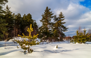 Февральское утро # 02 / 13 февраля 2022 года. Восток Московской области, Дрезна.
