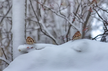 Разошлись, как в море корабли ... / ***