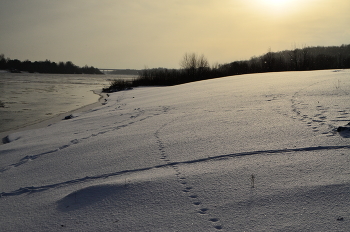 &nbsp; / берег Припяти