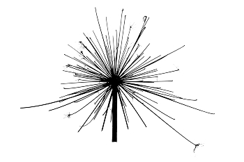Жизнь вокруг / Описание