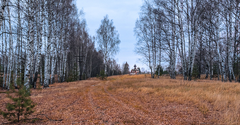 Вознесенский поздней осенью. / ...