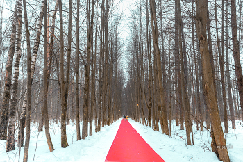 в нашем парке / парк Малевича, Одинцово