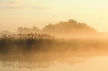 Рассвет на тихой речке / ***