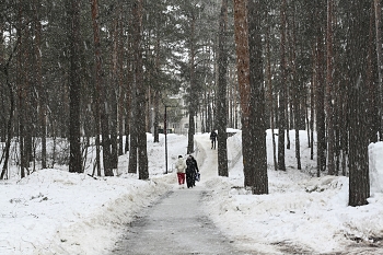 Прогулка в снегопад. / " " "