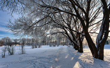 В зимнем парке... / ***