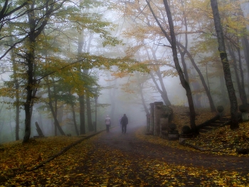 В парке туманном........ / Железноводск. Октябрь