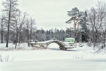 В Гатчинском парке / Январь 2020