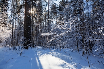 &nbsp; / лесопарк Лебяжье,пригород Казани
