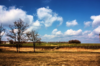 Весеннее настроение / Конец февраля