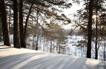 Зимний пейзаж / Длинные тени деревьев