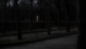 Нестандартный Петергоф - 20 / ...