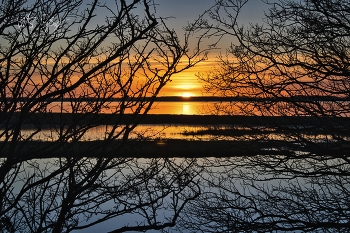 &nbsp; / Sonnenuntergang an der Geltinger Birk.