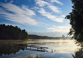 У старой купальни...... / Петербург. Осиновая Роща. Август