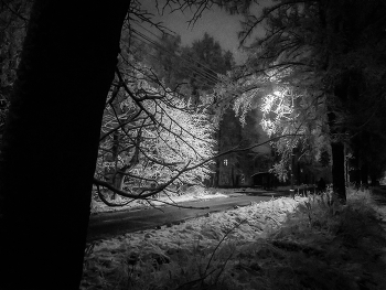 &nbsp; / мобилофото