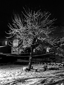 &nbsp; / мобилофото