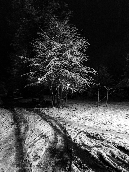 &nbsp; / мобилофото