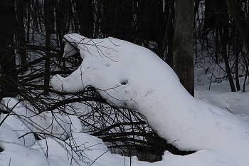 Снегоящер. / Белый, холодный и голодный.