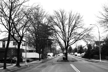 Это тоже - Нью-Йорк. / Квинс