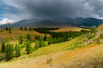 Скоро будет дождь... Летний Алтай. Окрестности Курая. / Окрестности Курая в переменчивую погоду.