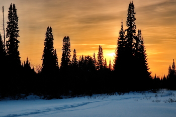 *Закат в лесу.** / Томская область.