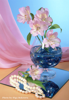 Альстромерия / Альстромерия