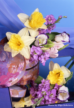 Нарциссы и левкои / букет из нарциссов, левкоев и эустомы