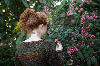 Цветение / .....