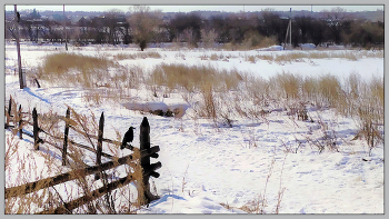 Первый грач / Непредсказуемый Урал. Видать, я рано прилетел.