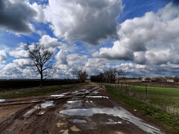 Весенняя дорога / Дорога, деревья,небо,облака