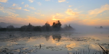 Осеннее утро. / ***