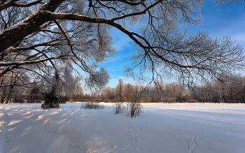 В зимнем парке... / ***