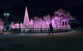 Сокольники / Сокольники