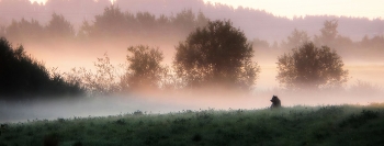 В тумане утреннем......... / Петербург. Парголово. Август