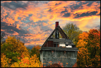 Осенние зарисовки / Золотая осень