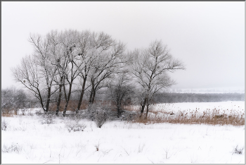 Зима / Зимняя Кубань
