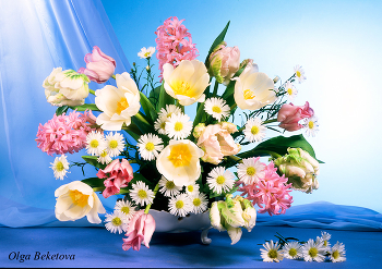 &nbsp; / тюльпаны, гиацинты, ромашки