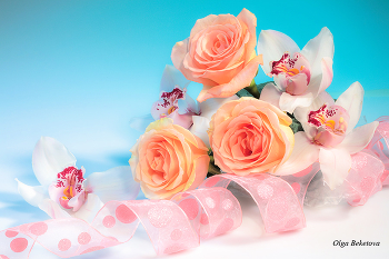 Розы и орхидеи / розы, орхидеи