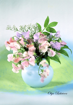 &nbsp; / горошек