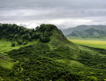 Зелень / Чинетинский заказник