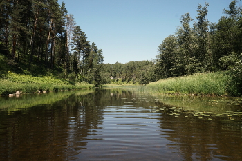 Река Держа / Река Держа