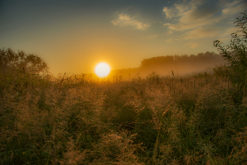 Солнце / Утро в августе