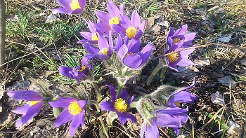 Скоро весна / " " "