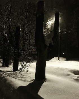 &nbsp; / мобилофото