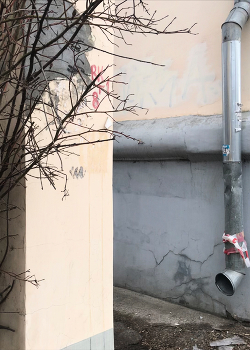 &nbsp; / описание