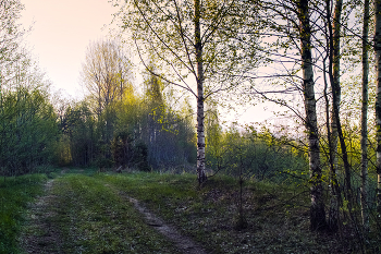 Утренний взгляд / Майский рассвет