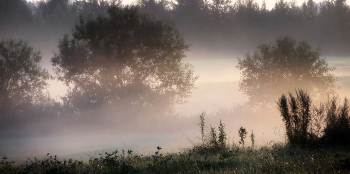 Утро в полях...... / Петербург. Парголово. Август