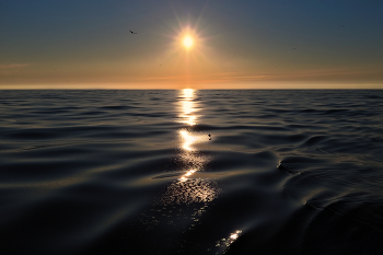 Bronze sun / Охотское море, шуга. Бронзовый закат..