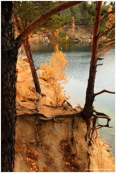 Осень жизни / Осень в Челябинске