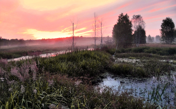 Туманный летний закат / Туманный летний закат